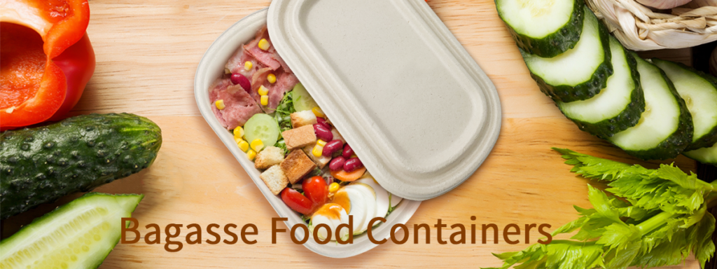 Bagasse Food Container